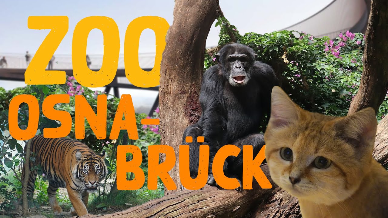 Zoo Osnabrück
