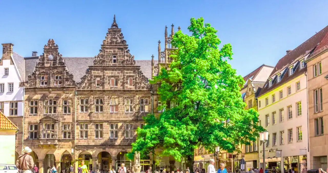 Stadtführungen Münster Tatort: Ein Rundgang durch Krimi, Kultur und Geschichte 2 Untitled design 2025 09 25T145321.964